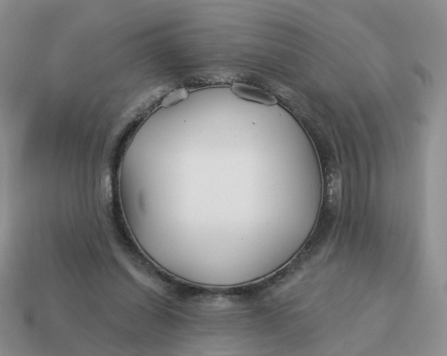 X0000114510254200911091136