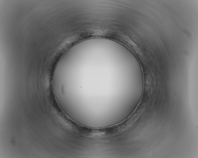 X0000114510257200911091136