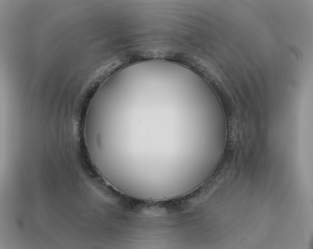 X0000114510258200911091136