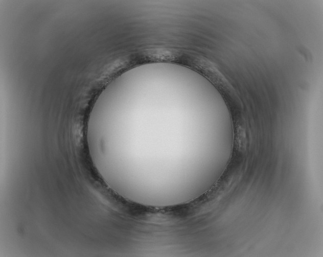 X0000114510259200911091136