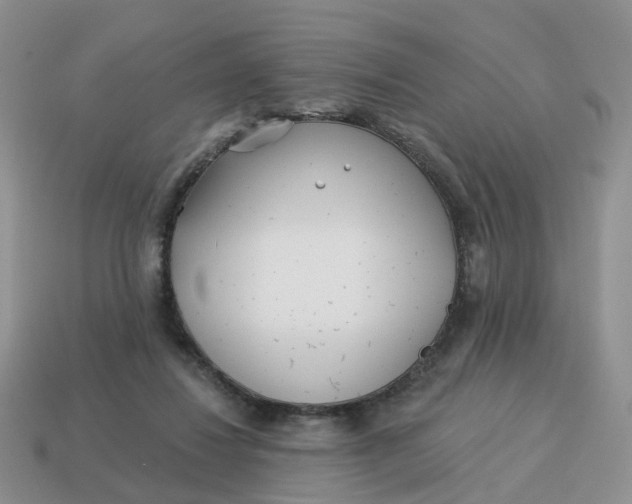 X0000114510260200911091136