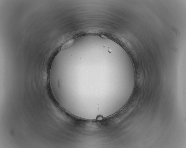 X0000114510261200911091136