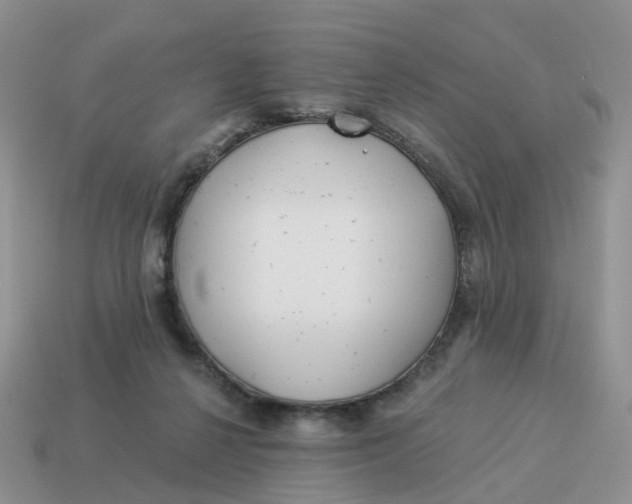 X0000114510264200911091136