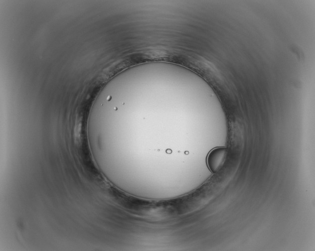 X0000114510267200911091136