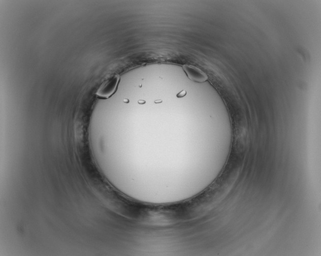 X0000114510268200911091136