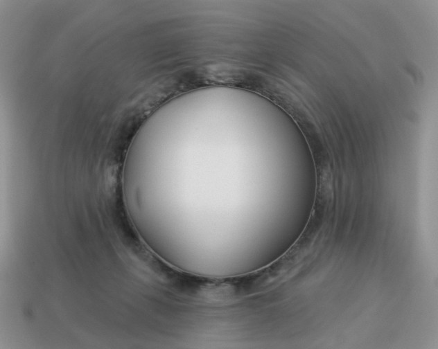 X0000114510271200911091136