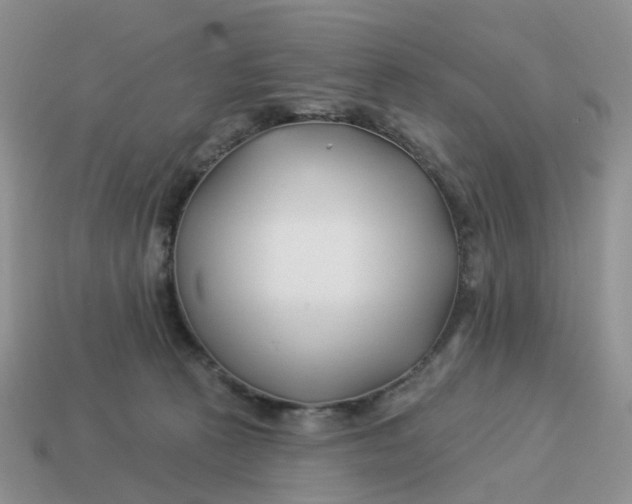 X0000114510273200911091136