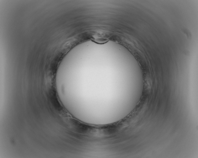 X0000114510276200911091136