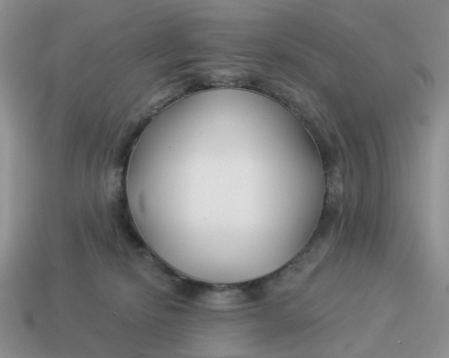 X0000114510278200911091136