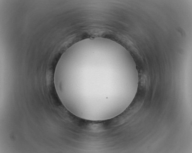 X0000114510283200911091136