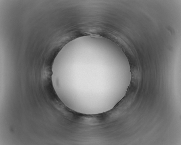 X0000114510284200911091136