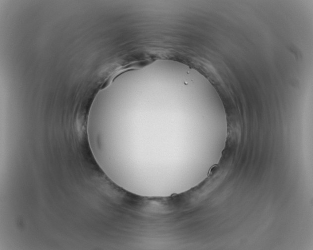 X0000114510285200911091136