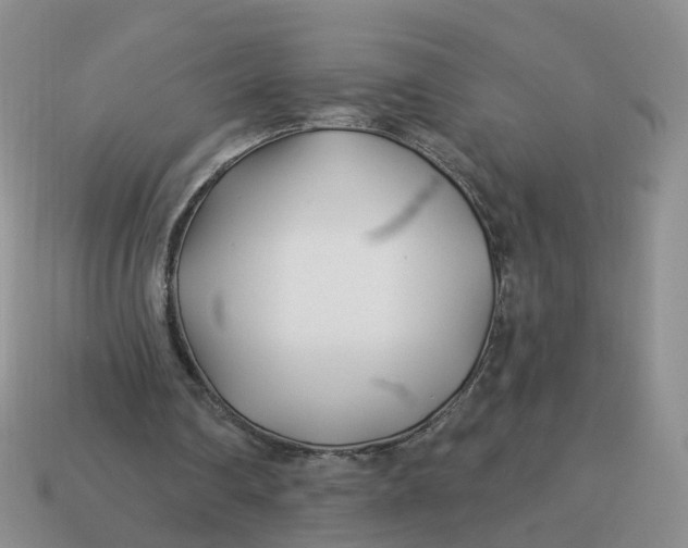 X0000114510290200911091135