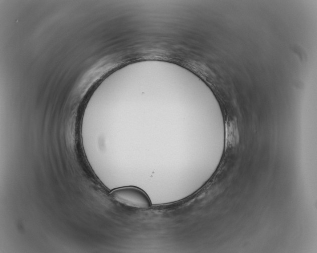 X0000114510291200911091135