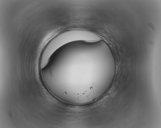 X0000114510293200911091135