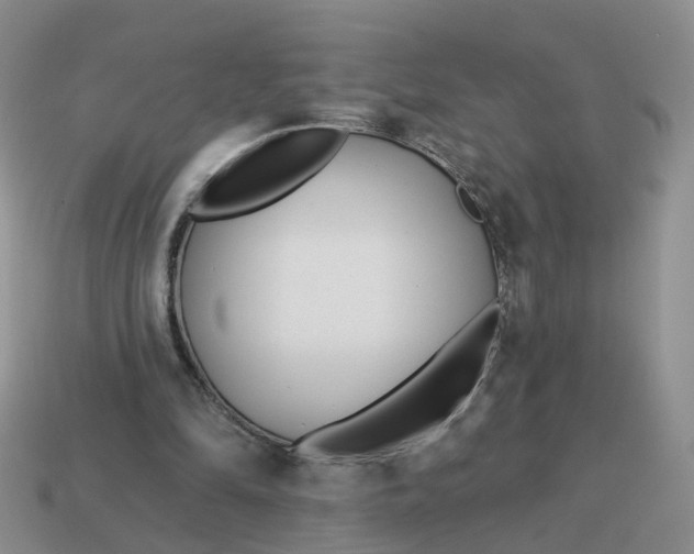 X0000114510294200911091135