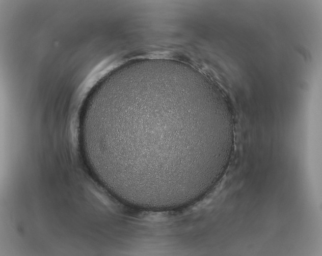 X0000114510295200911091135