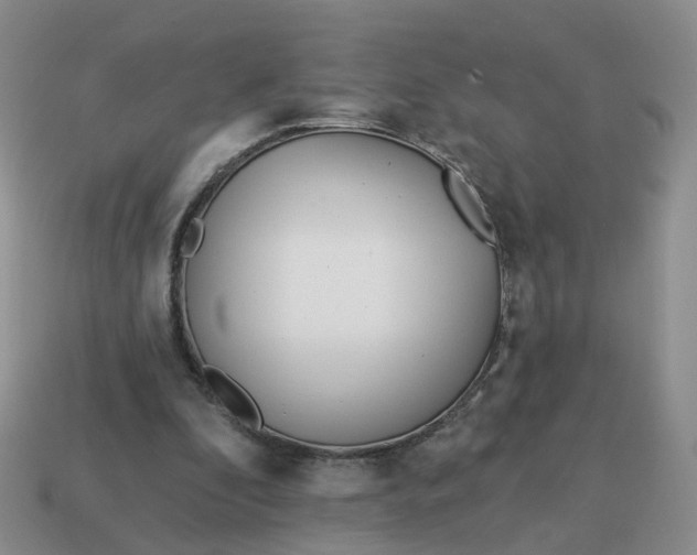 X0000114510296200911091135