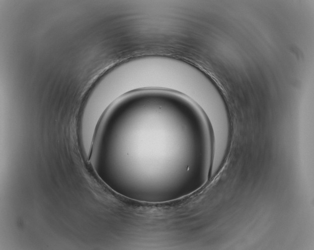 X0000114510297200911091135