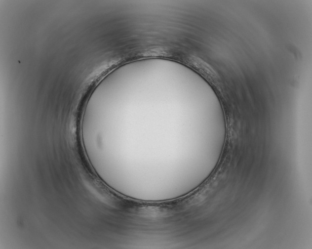 X0000114510298200911091135