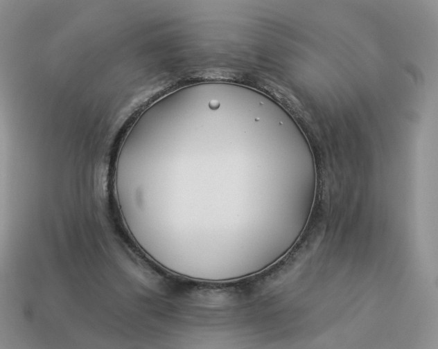 X0000114510299200911091135