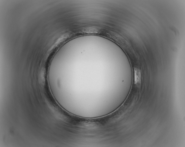 X0000114510300200911091135