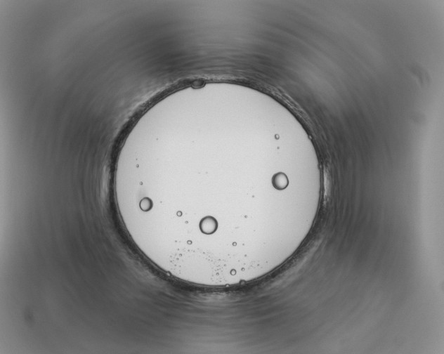 X0000114510301200911091135