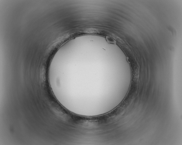 X0000114510303200911091135