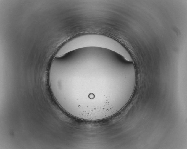 X0000114510305200911091135