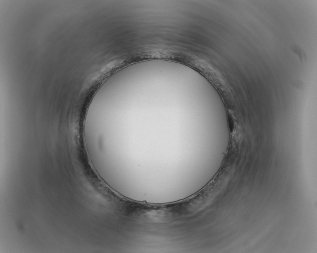 X0000114510306200911091135