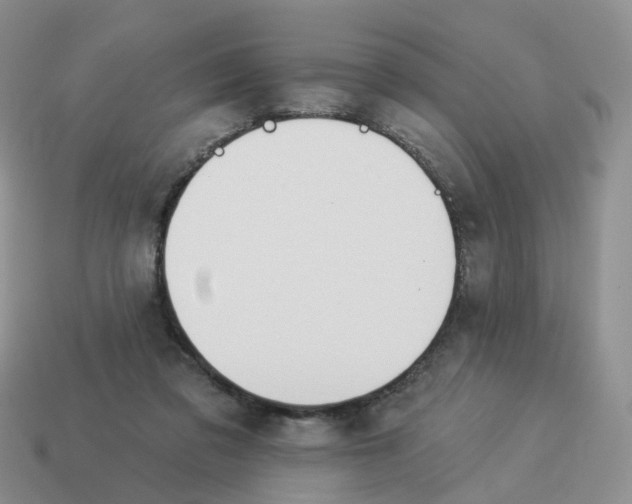 X0000114510309200911091135