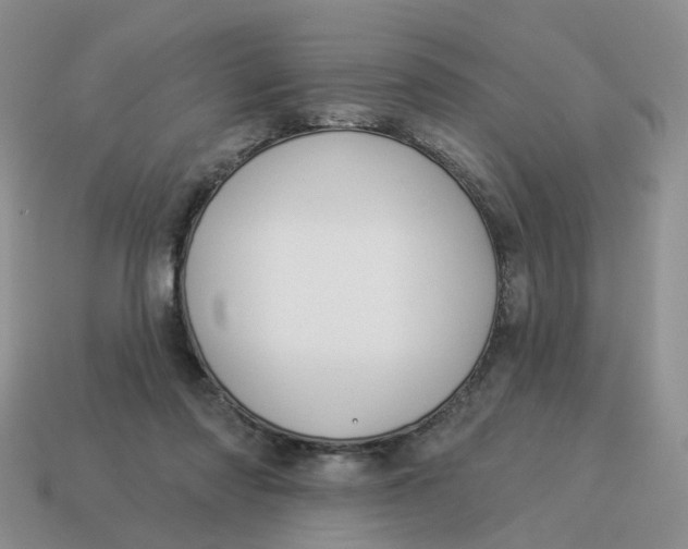 X0000114510310200911091135