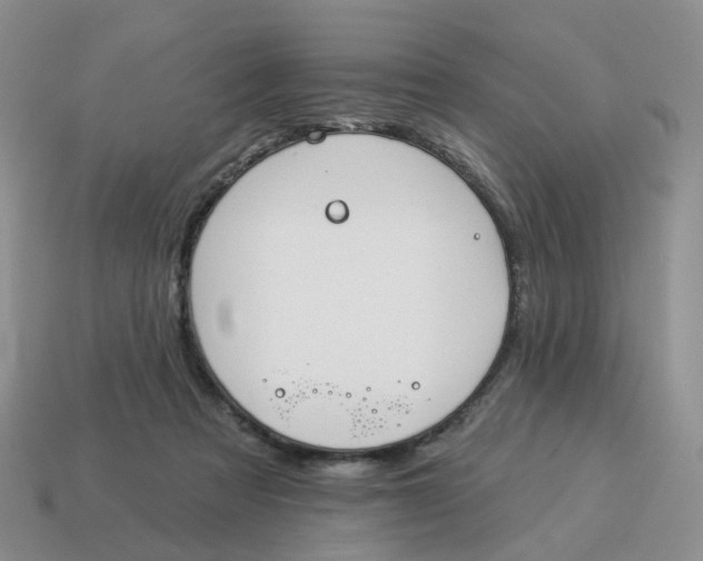 X0000114510313200911091135