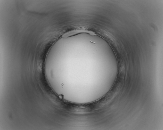 X0000114510315200911091135