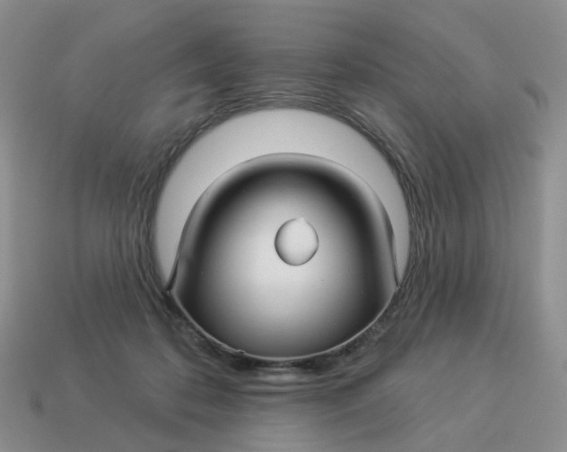 X0000114510316200911091135