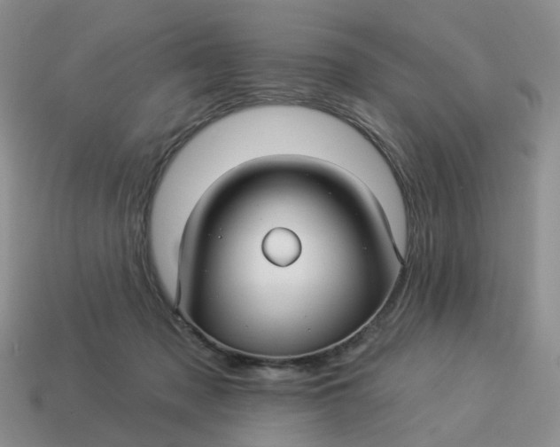 X0000114510317200911091135