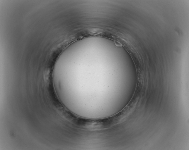 X0000114510319200911091135