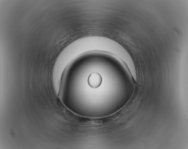 X0000114510320200911091135