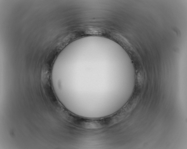 X0000114510322200911091135