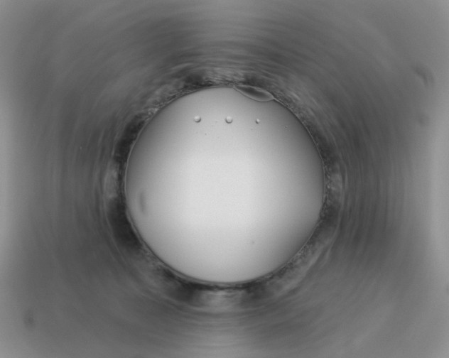 X0000114510323200911091135