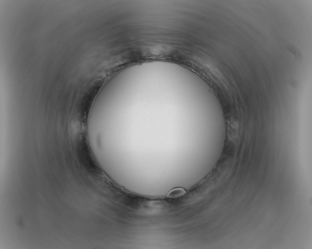 X0000114510324200911091135