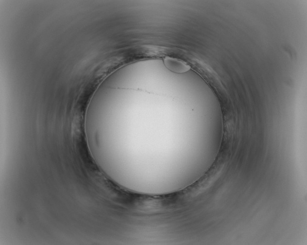 X0000114510325200911091135