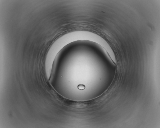 X0000114510327200911091135