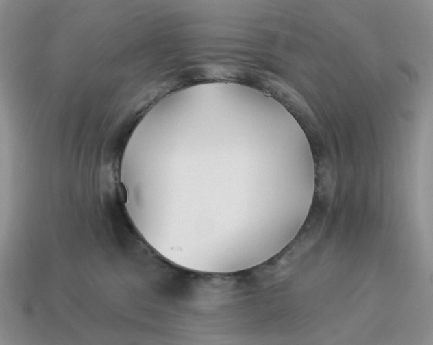 X0000114510329200911091135