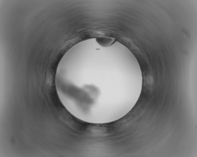 X0000114510331200911091135