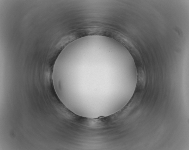 X0000114510333200911091135