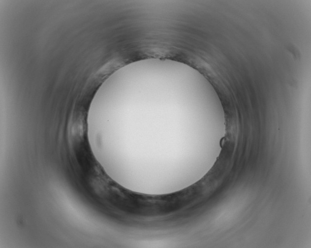 X0000114510334200911091135