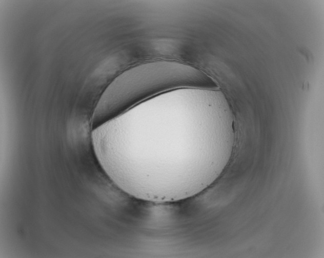 X0000114510336200911091135