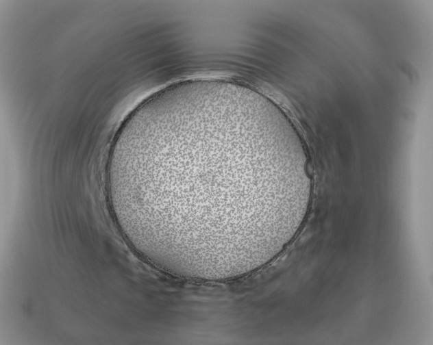 X0000114510337200911091134