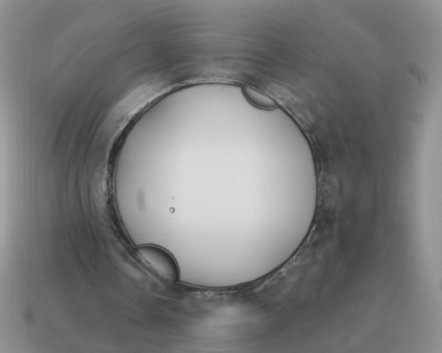 X0000114510338200911091134